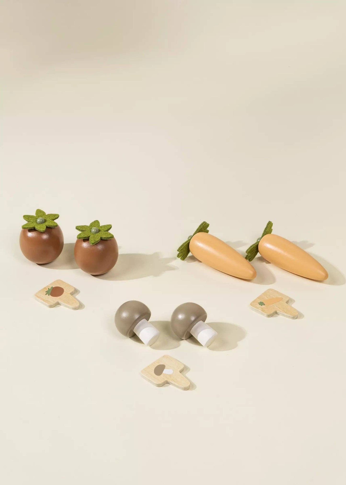 Ensemble de jeu et accessoires de jardinage en bois