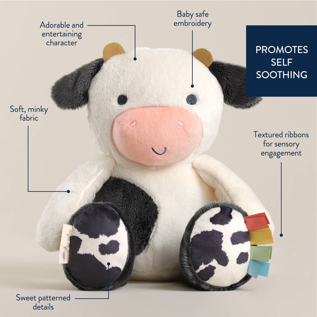 *New* Sweetie Snuggles™ Plush