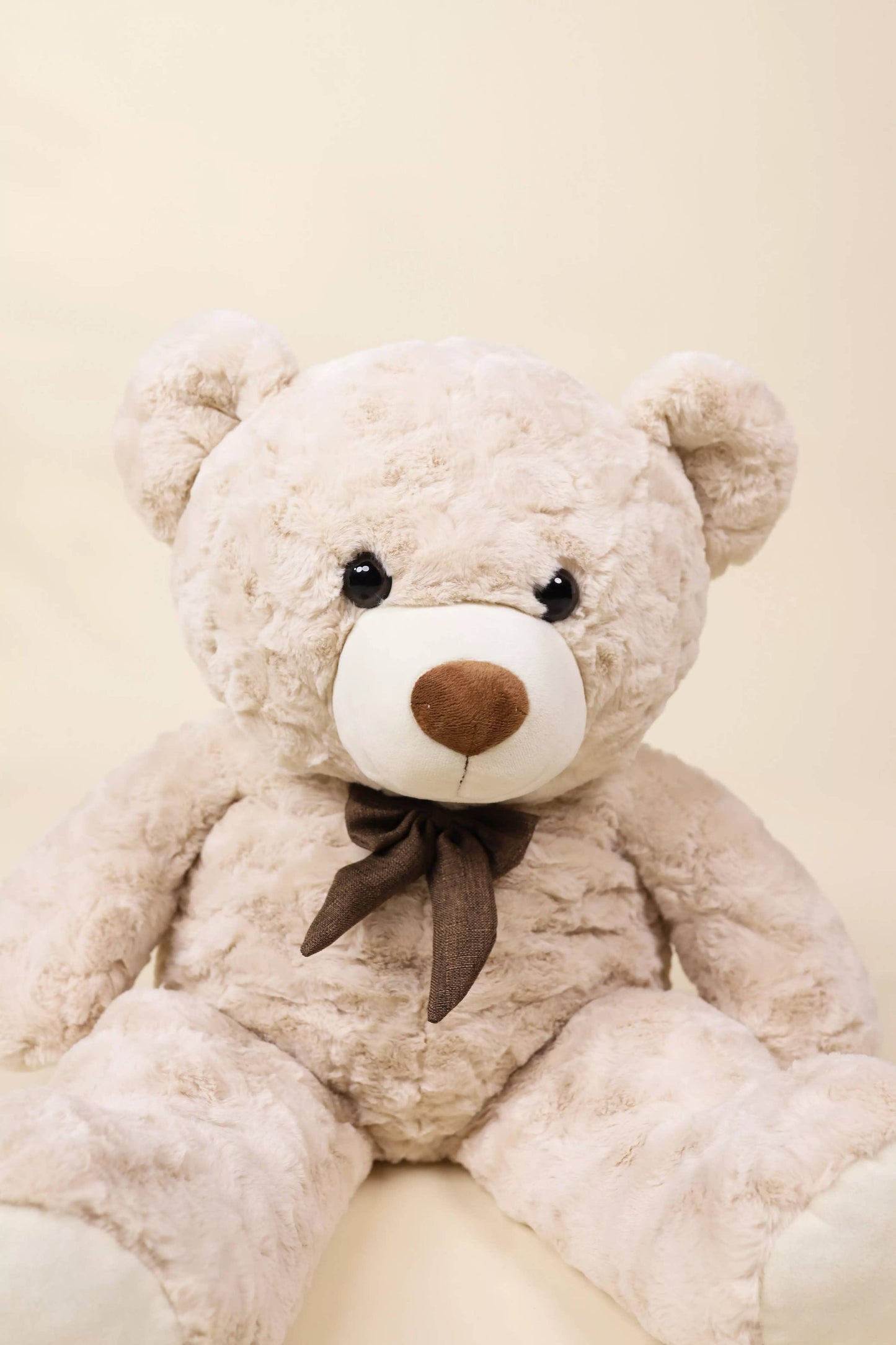 Small Bear Plush Toy