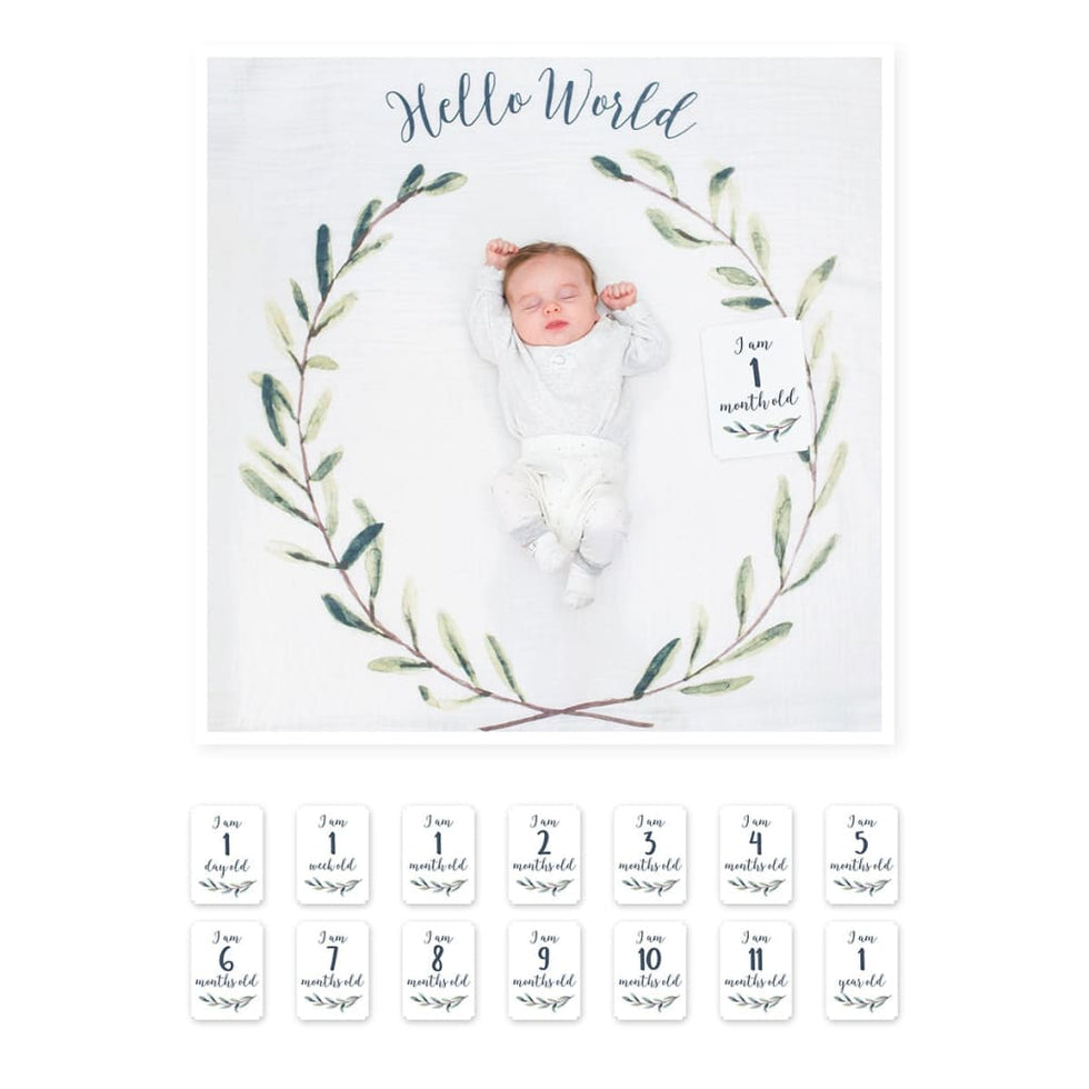 Milestone Blanket|| Lulujo