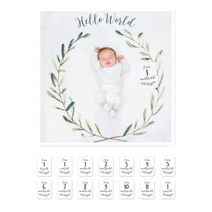 Milestone Blanket|| Lulujo