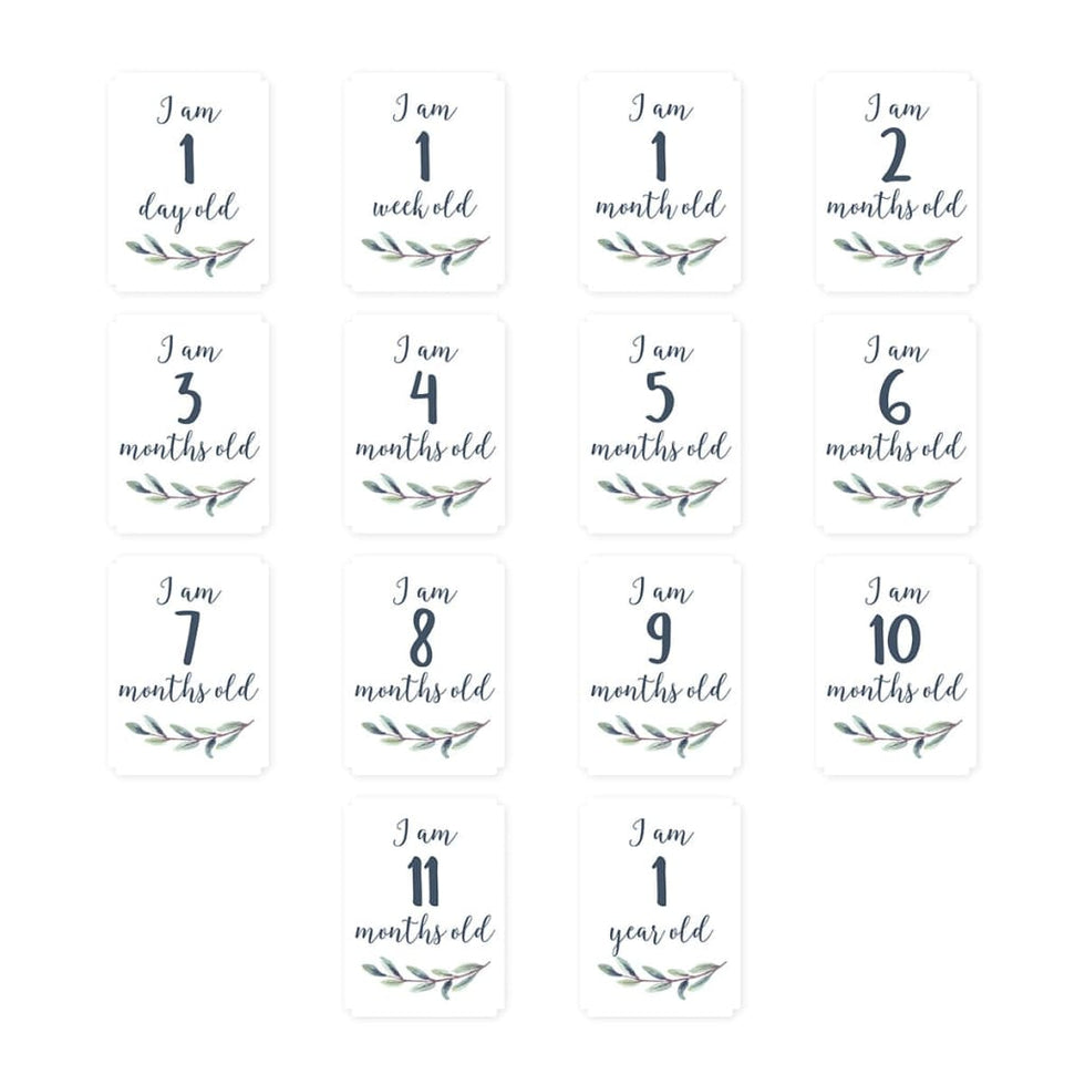 Milestone Blanket|| Lulujo
