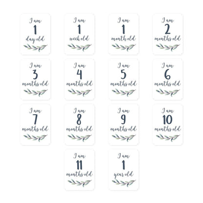 Milestone Blanket|| Lulujo