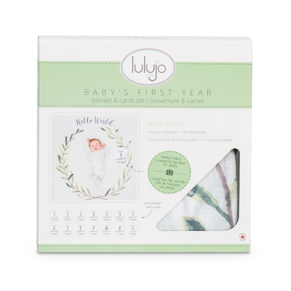 Milestone Blanket|| Lulujo