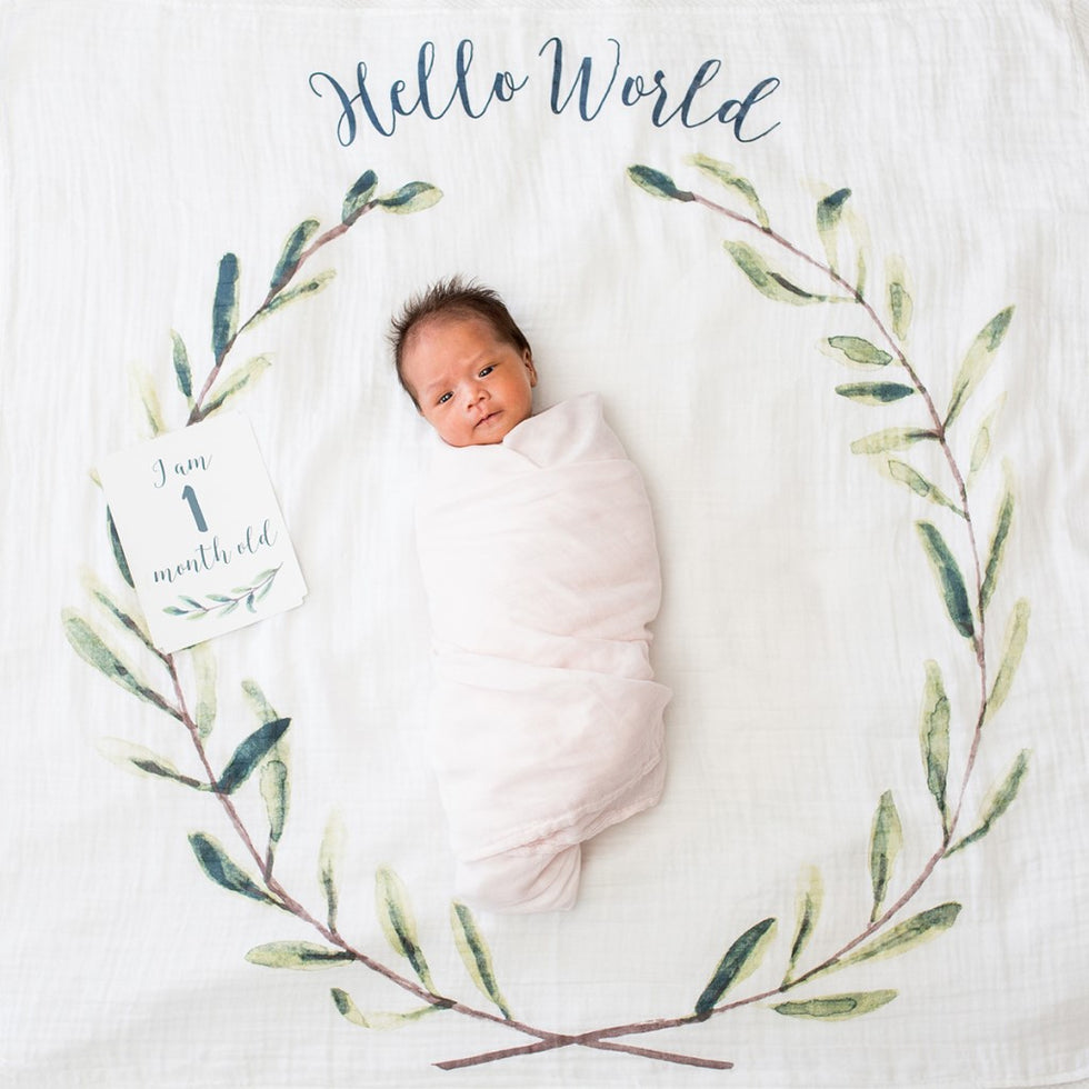 Milestone Blanket|| Lulujo