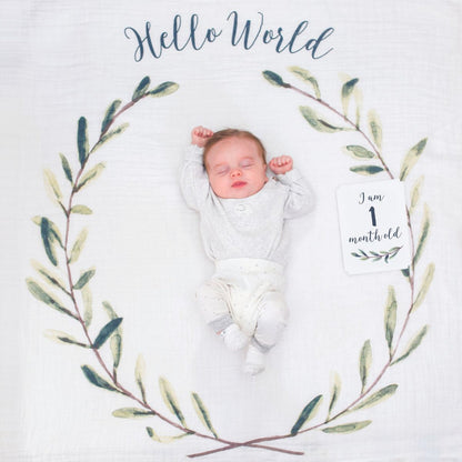 Milestone Blanket|| Lulujo