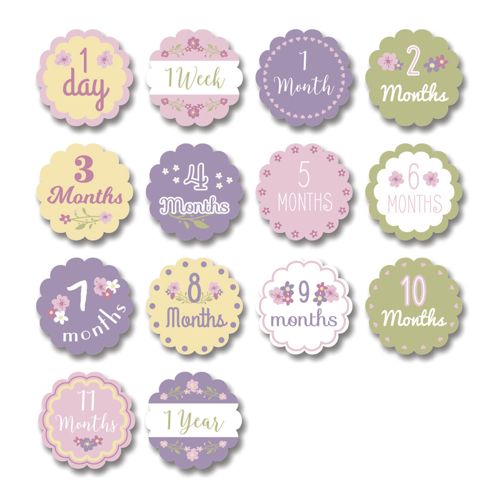 Milestone Blanket|| Lulujo