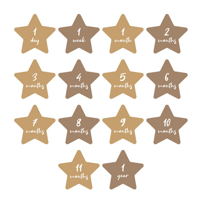 Milestone Blanket|| Lulujo