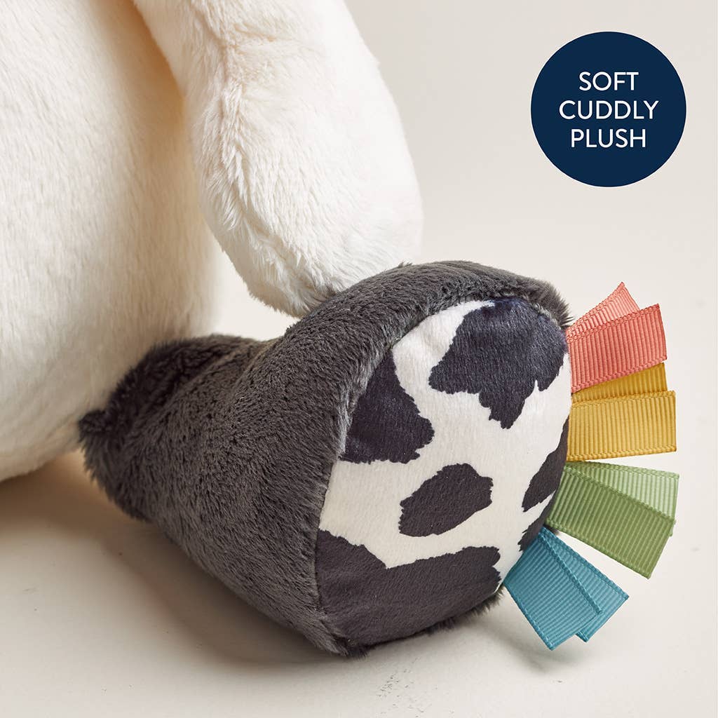 *New* Sweetie Snuggles™ Plush