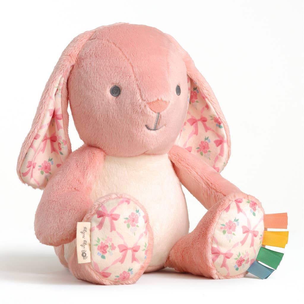 *New* Sweetie Snuggles™ Plush