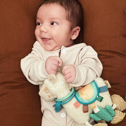 Itzy Friends Link & Love™ Activity Plush With Teether Toy
