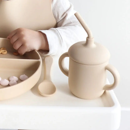 Sippy Cup with Straw, Spill-Proof & Anti-Stain - Dusty Rose