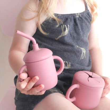 Sippy Cup with Straw, Spill-Proof & Anti-Stain - Dusty Rose