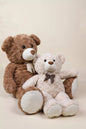 Small Bear Plush Toy