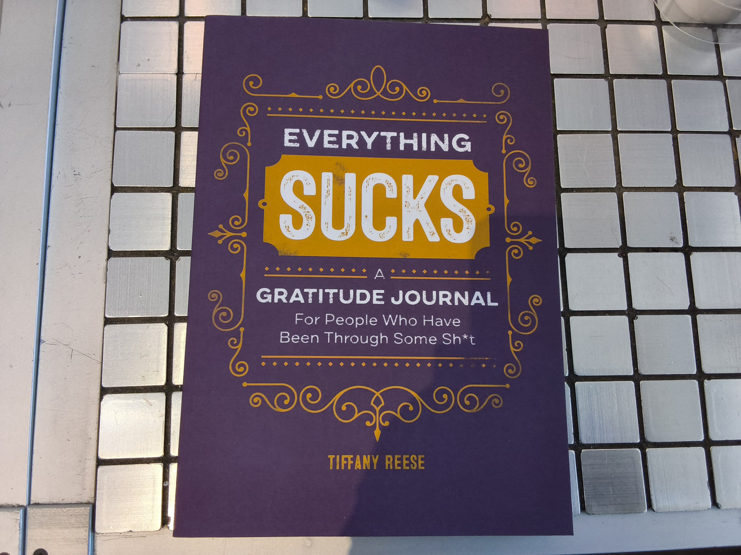 Everything Sucks: Gratitude Journal