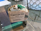 Jack And Audreys Natural Products: Dragons Den Soap