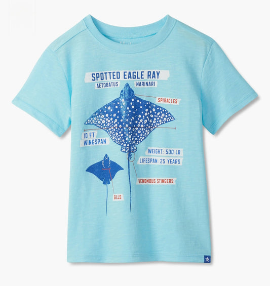 Stingray Graphic Tee- Hatley