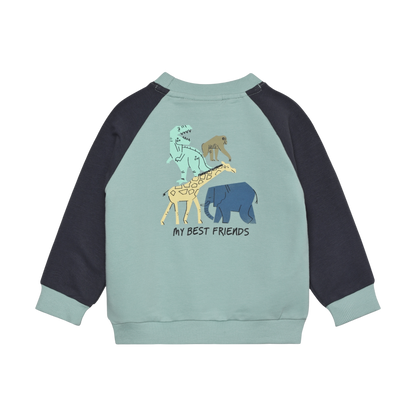 Baby Sweats Animals- Colour Kids