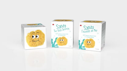 Sandy the Sea Sponge