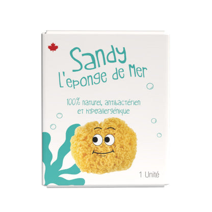 Sandy the Sea Sponge