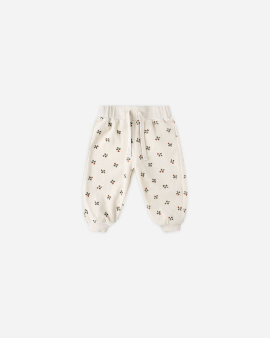Quincy Mae

Velour Relaxed Sweatpant || Holly Berry